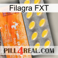 Filagra FXT new05